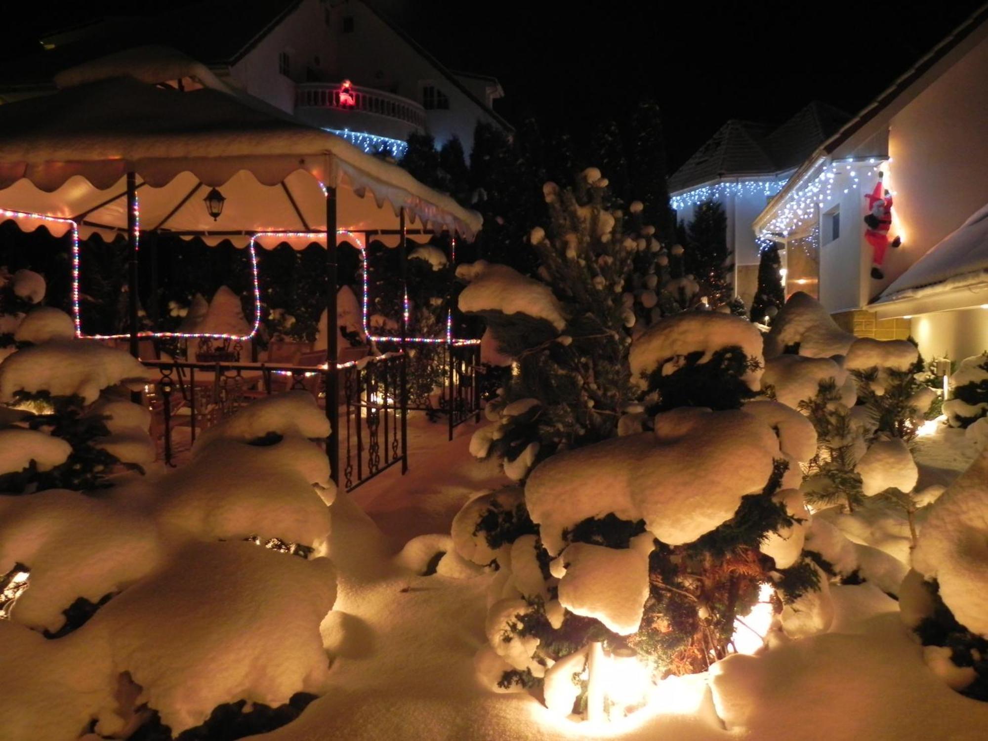Boutique Hotel Forest Retreat (Adults Only) Buşteni Zewnętrze zdjęcie
