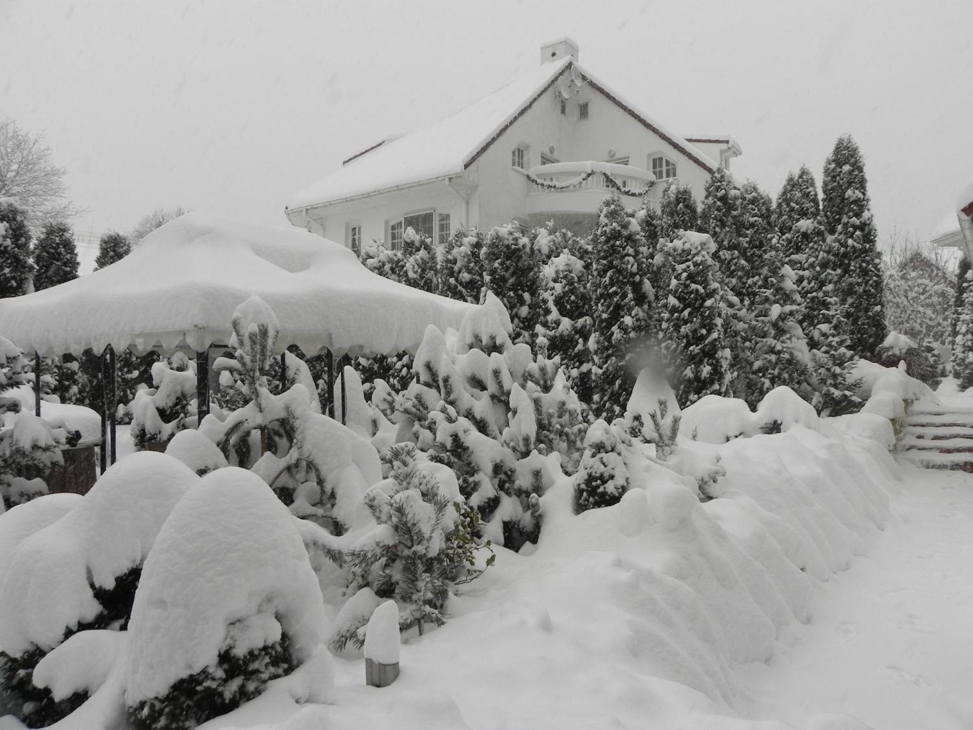 Boutique Hotel Forest Retreat (Adults Only) Buşteni Zewnętrze zdjęcie