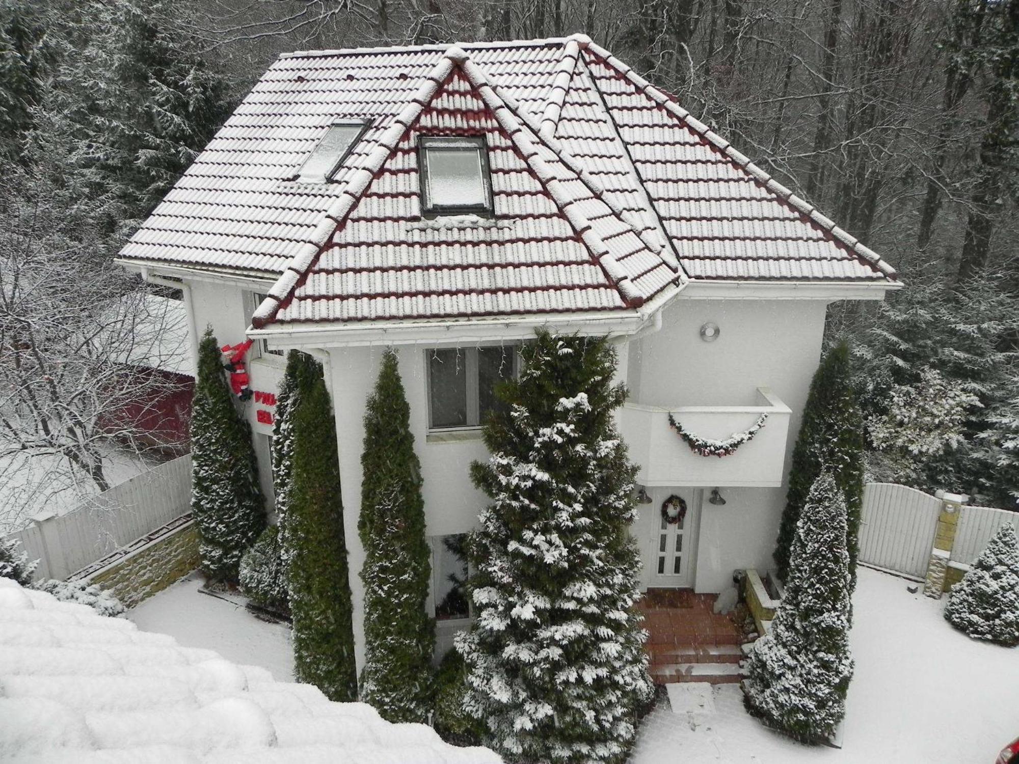 Boutique Hotel Forest Retreat (Adults Only) Buşteni Zewnętrze zdjęcie