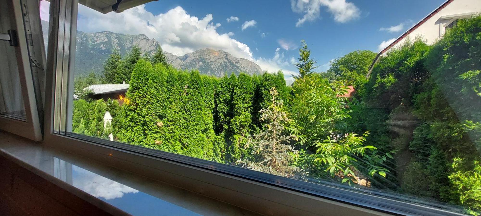 Boutique Hotel Forest Retreat (Adults Only) Buşteni Zewnętrze zdjęcie
