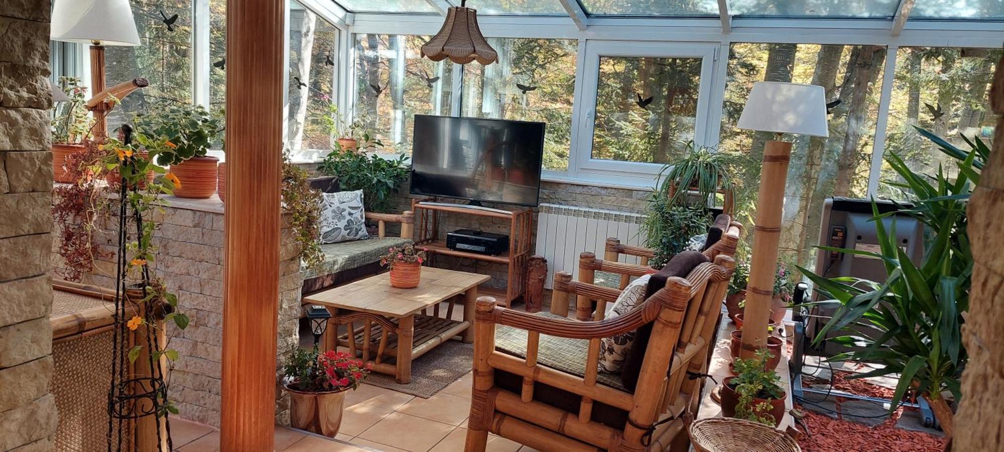 Boutique Hotel Forest Retreat (Adults Only) Buşteni Zewnętrze zdjęcie