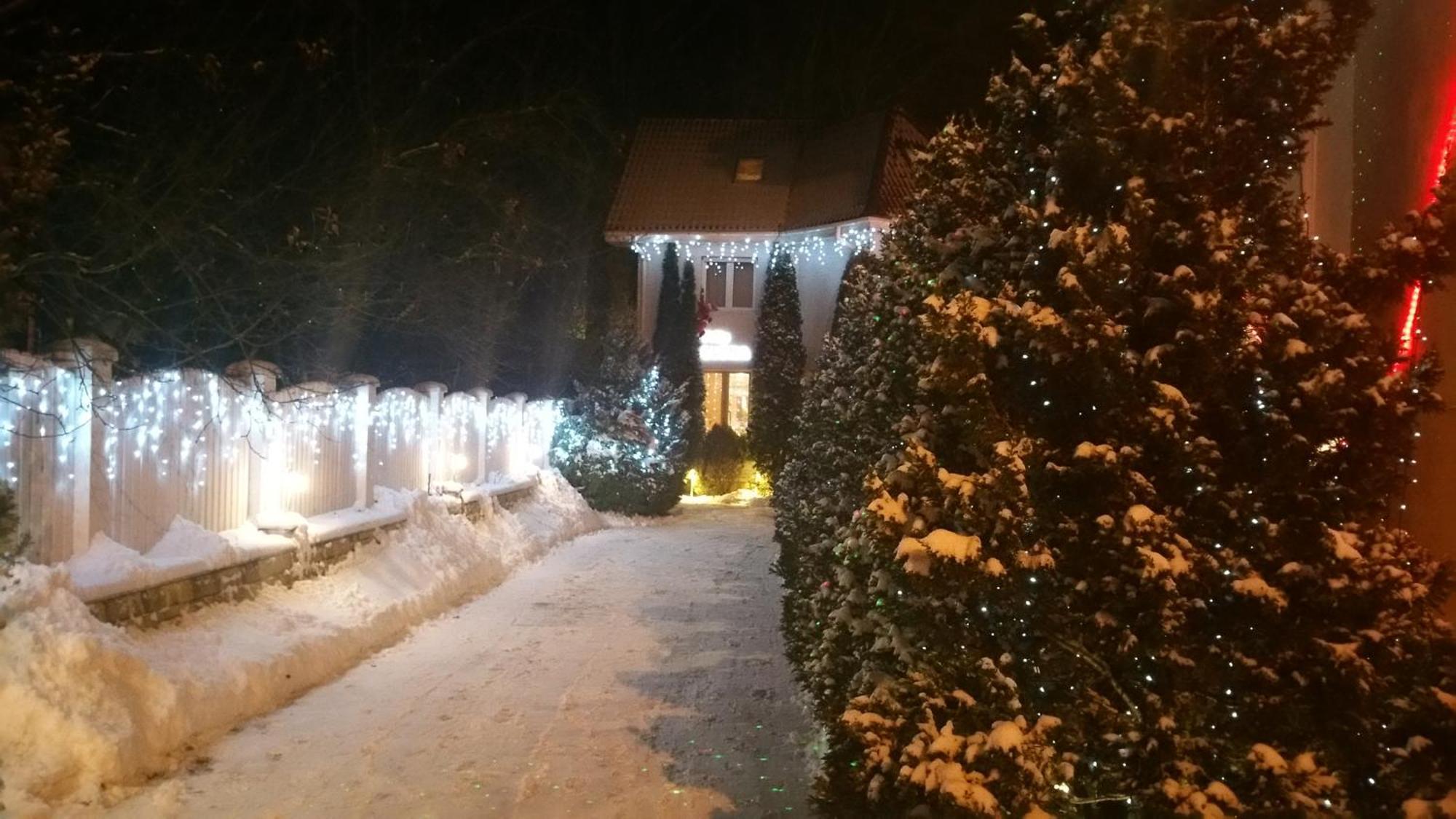 Boutique Hotel Forest Retreat (Adults Only) Buşteni Zewnętrze zdjęcie