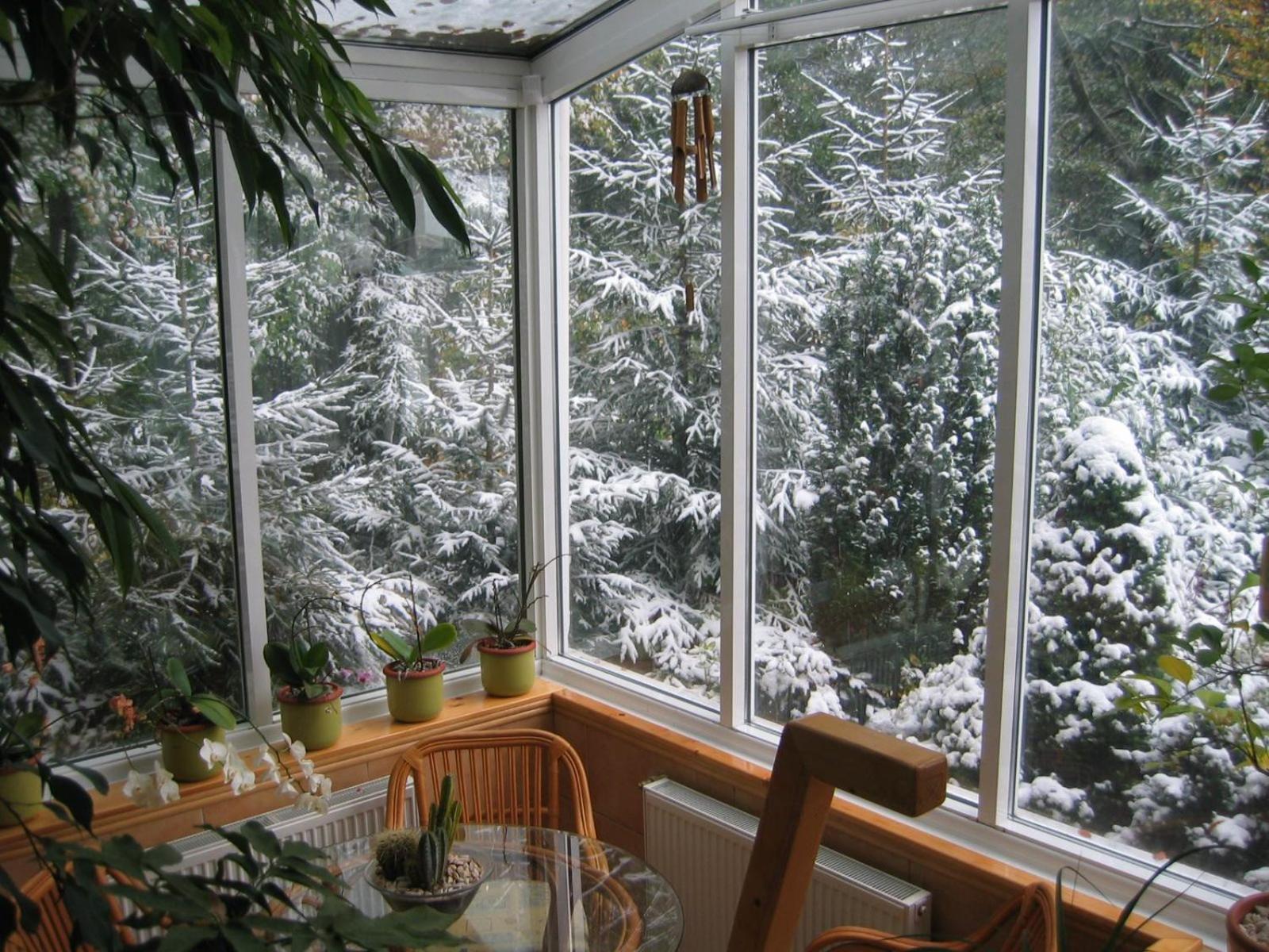Boutique Hotel Forest Retreat (Adults Only) Buşteni Zewnętrze zdjęcie
