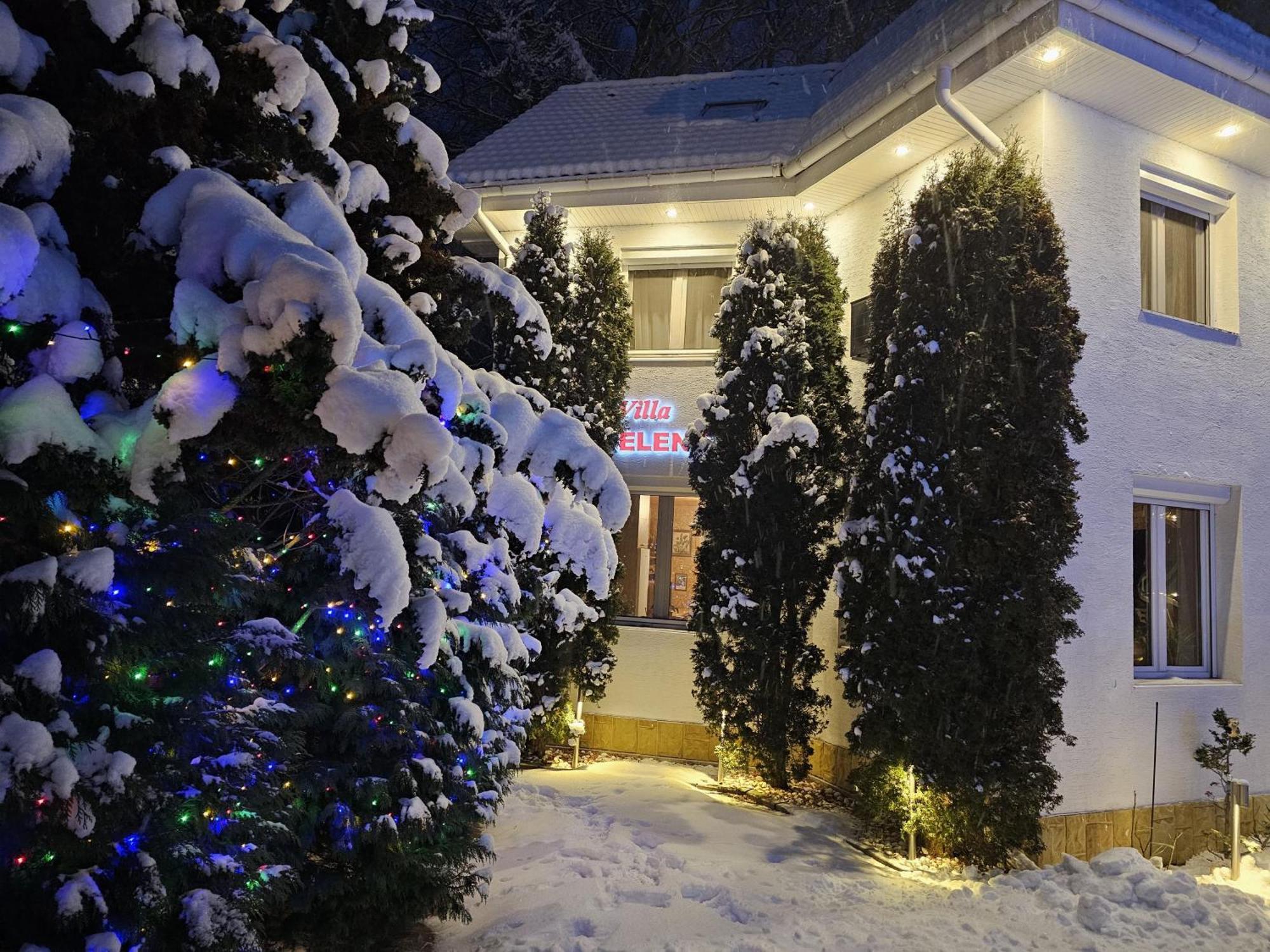 Boutique Hotel Forest Retreat (Adults Only) Buşteni Zewnętrze zdjęcie
