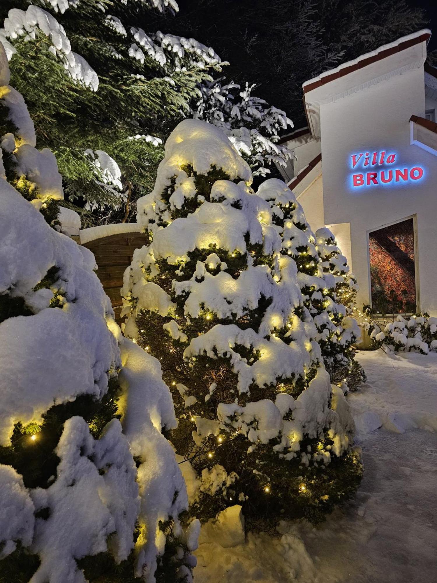 Boutique Hotel Forest Retreat (Adults Only) Buşteni Zewnętrze zdjęcie
